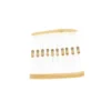 300pcs Carbon Film Resistors Kit